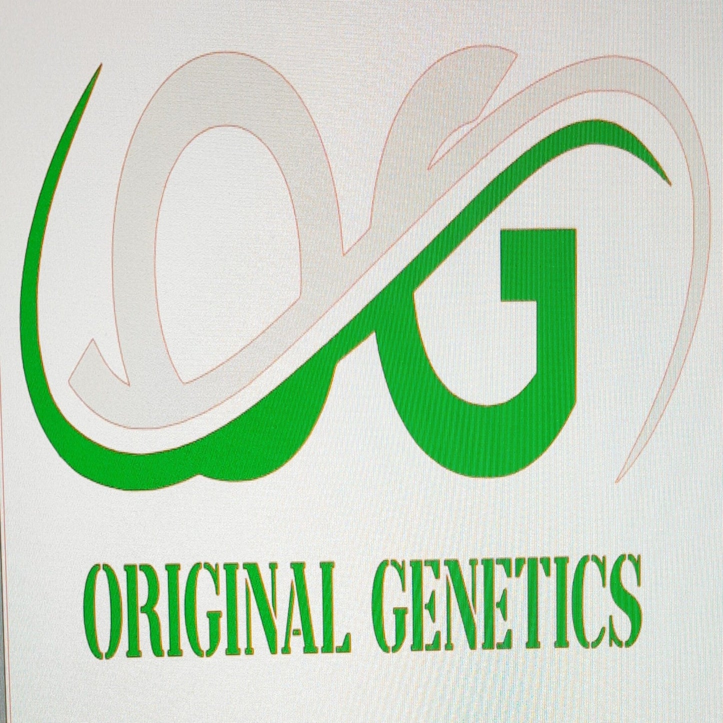 Original Genetics 37 T-shirt