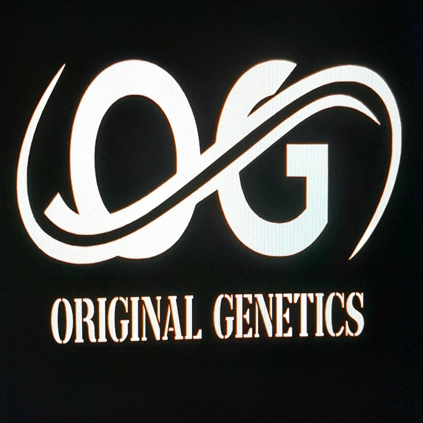 Original Genetics 37 T-shirt