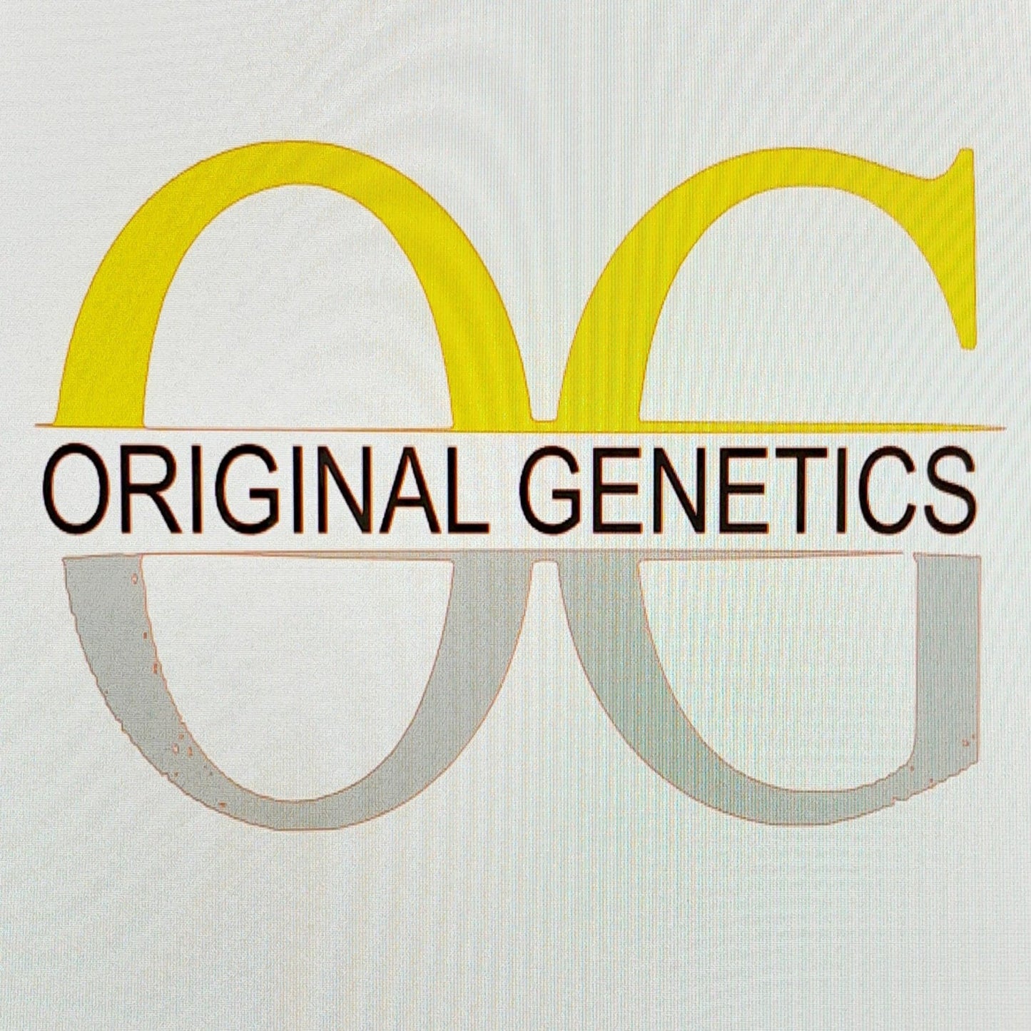 Original Genetics 67 T-Shirt