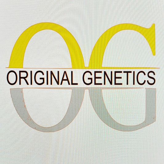 Original Genetics 67 T-Shirt