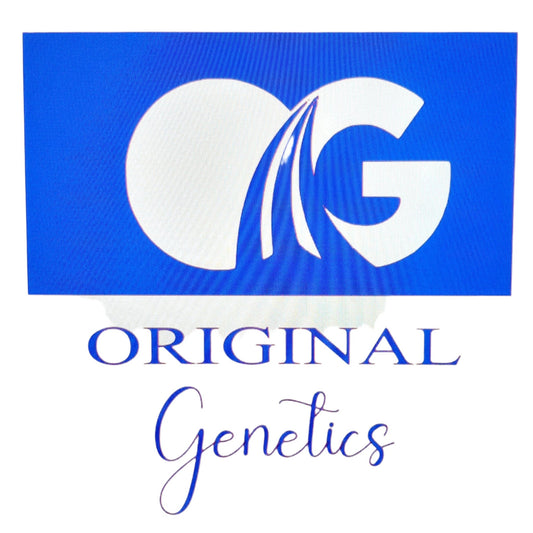 Original Genetics 47 T-Shirt