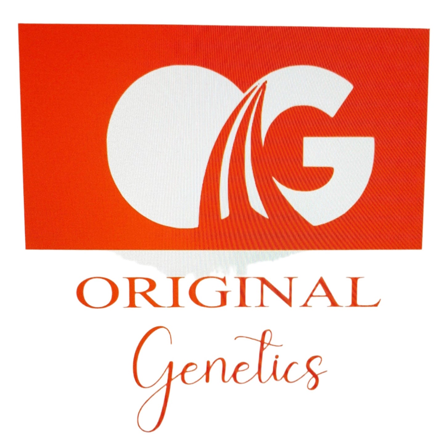 Original Genetics 47 T-Shirt