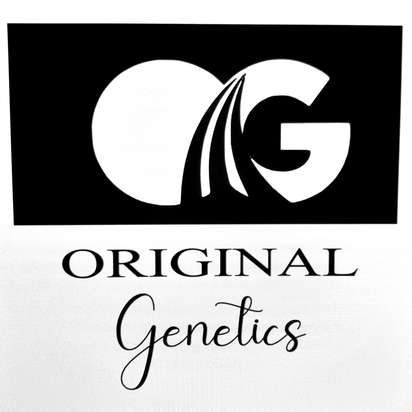 Original Genetics 47 T-Shirt