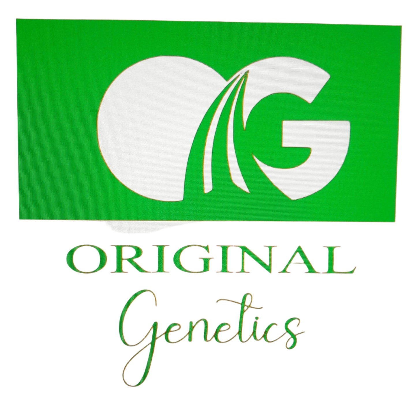 Original Genetics 47 T-Shirt