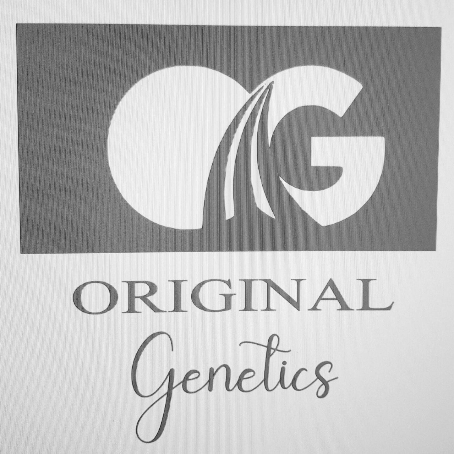 Original Genetics 47 T-Shirt