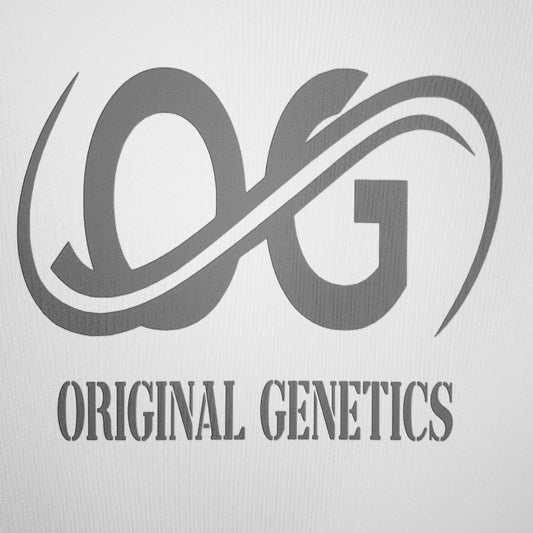 Original Genetics 37 T-shirt