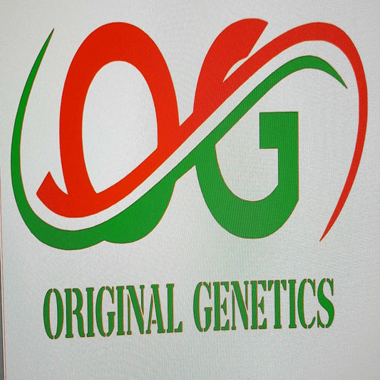 Original Genetics 37 T-shirt