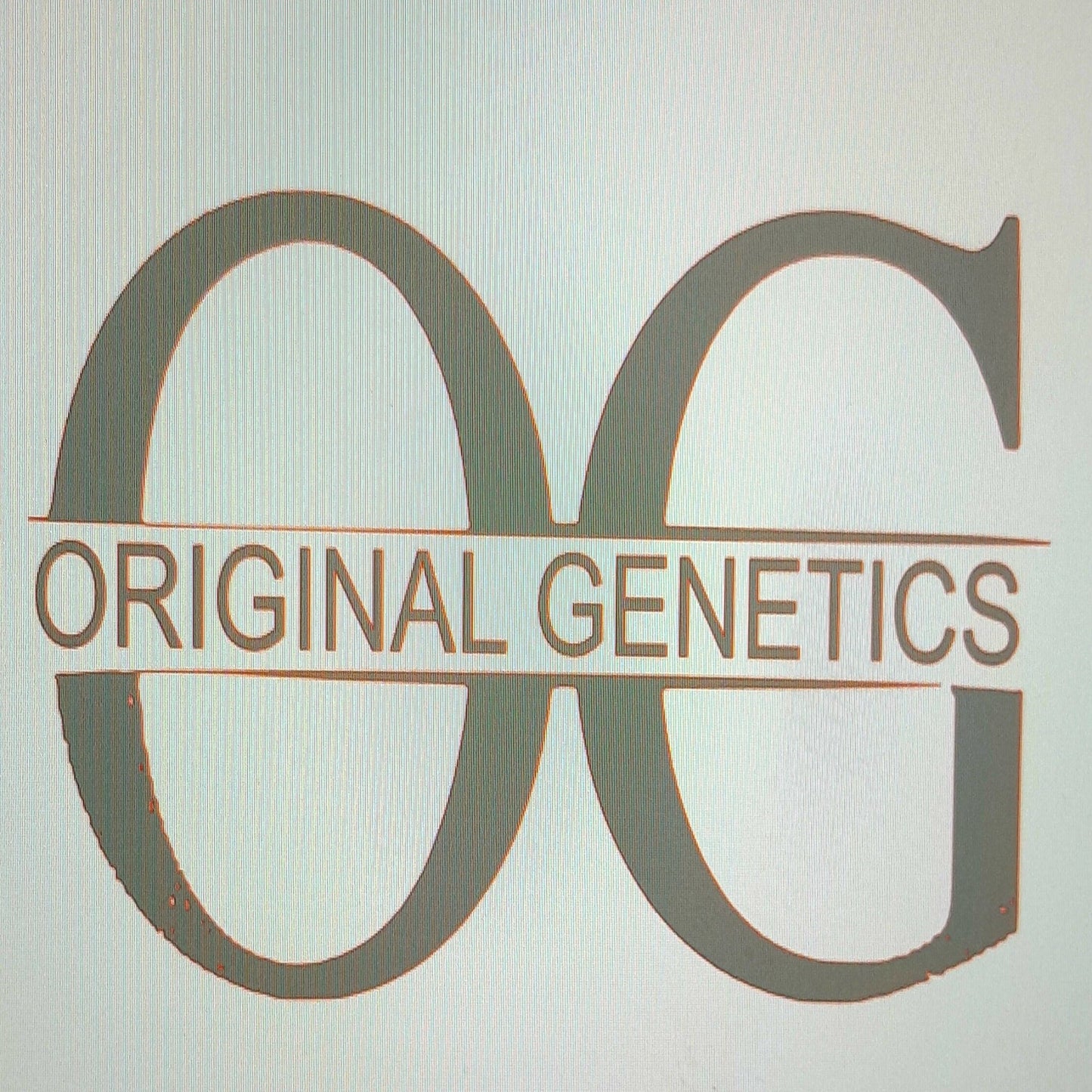 Original Genetics 67 T-Shirt