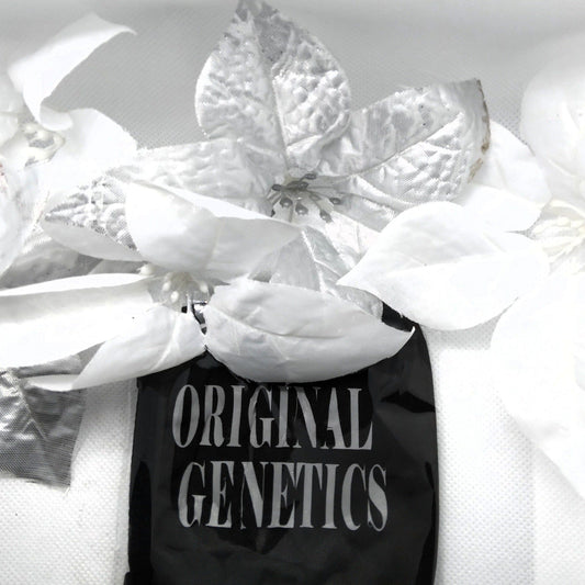 Original Genetics Face Mask - Ward Shop Of Essentials